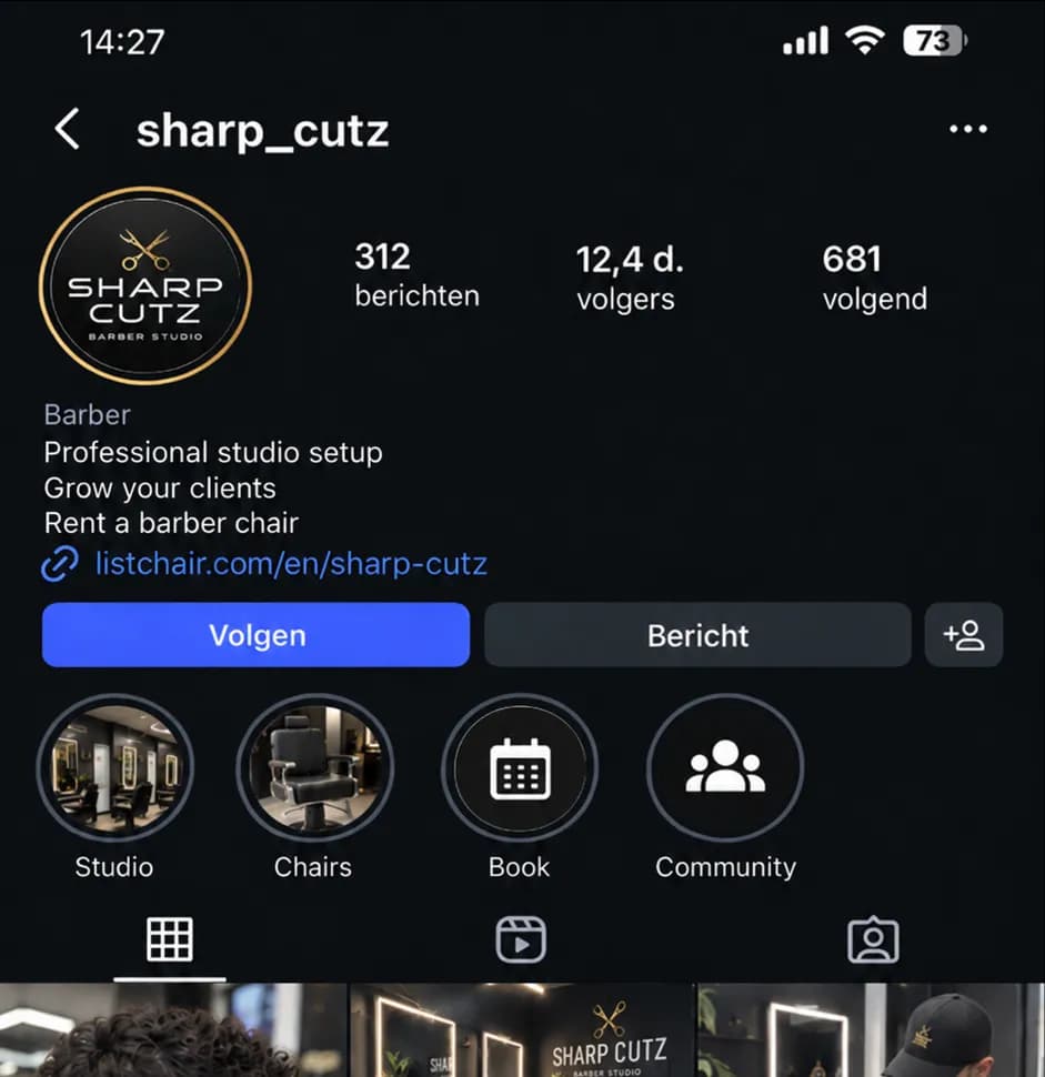 An Instagram profile with the rental link in the bio
